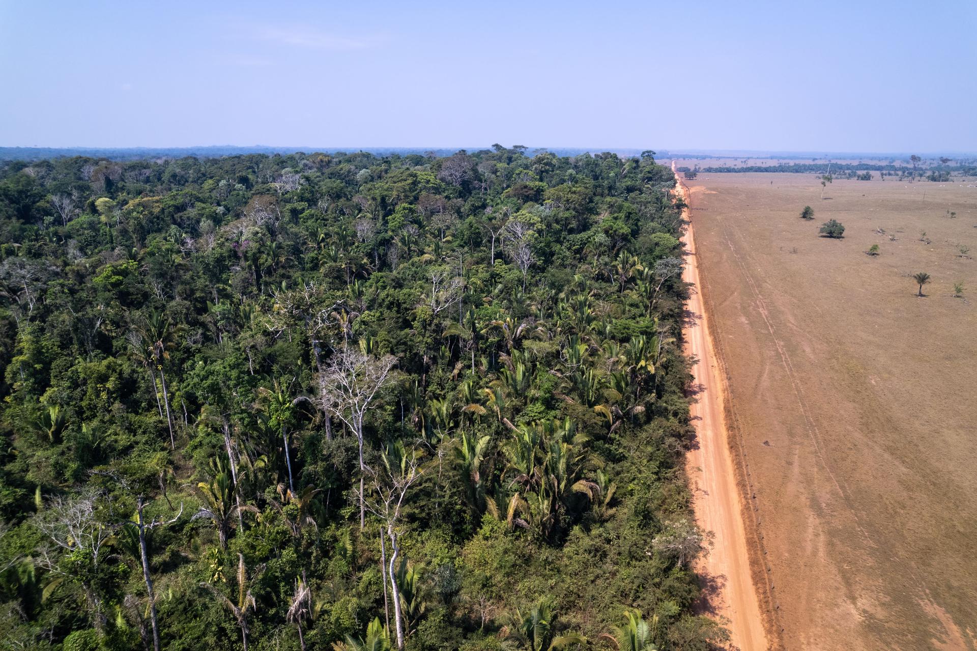 Aerial drone view of beautiful Amazon rainforest trees and deforestation to open land for cattle in livestock farm. Amazonas, Brazil. Concept of environment, ecology, global warming, climate change.