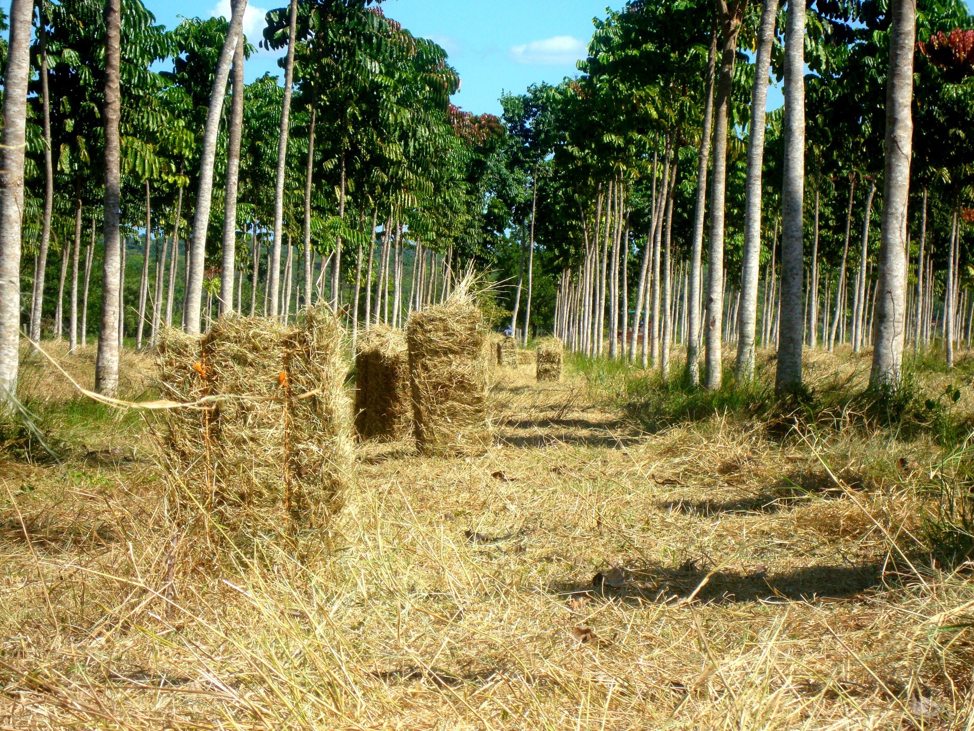 Regenerative Agro-Industry Training